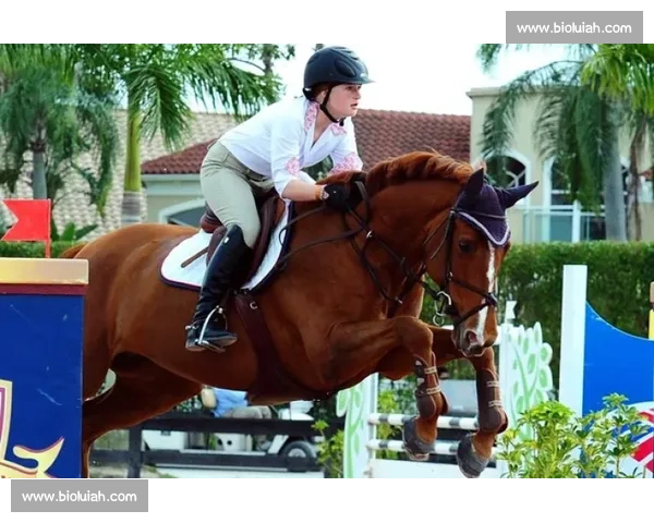 现实版 “马术大富翁” 亮相赛场 观众玩着学马术